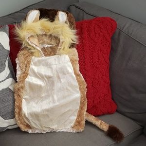 Lion Costume